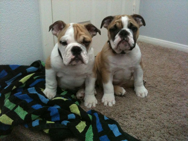 167309_547615372884_5790090_n