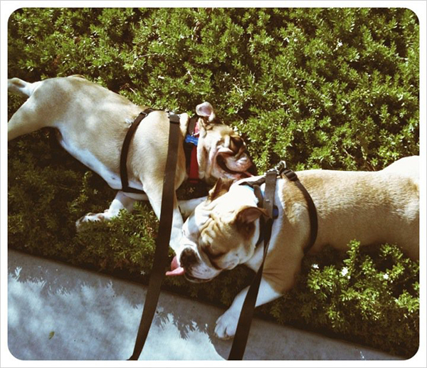 217668_562394161074_6760164_n