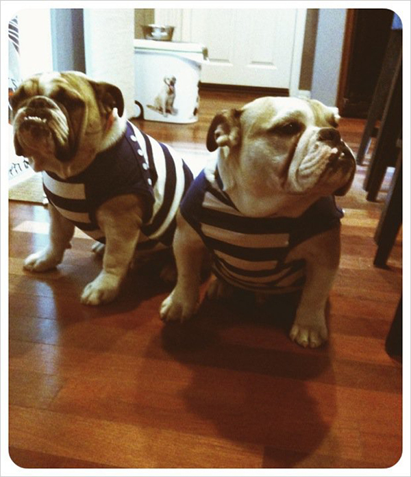 218044_561717736634_272931_n