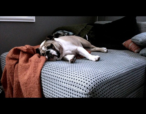 218080_561990315384_7991649_n