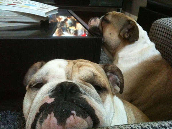 264925_571746853204_1294826_n