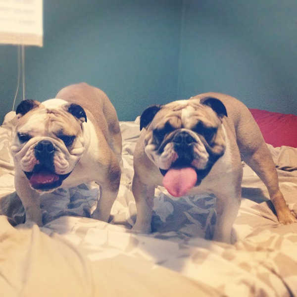 598803_631112773424_1133085298_n